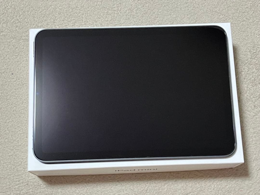 【初期化済み】iPadmini6 256GB Wi-Fiモデル　スペースグレイ