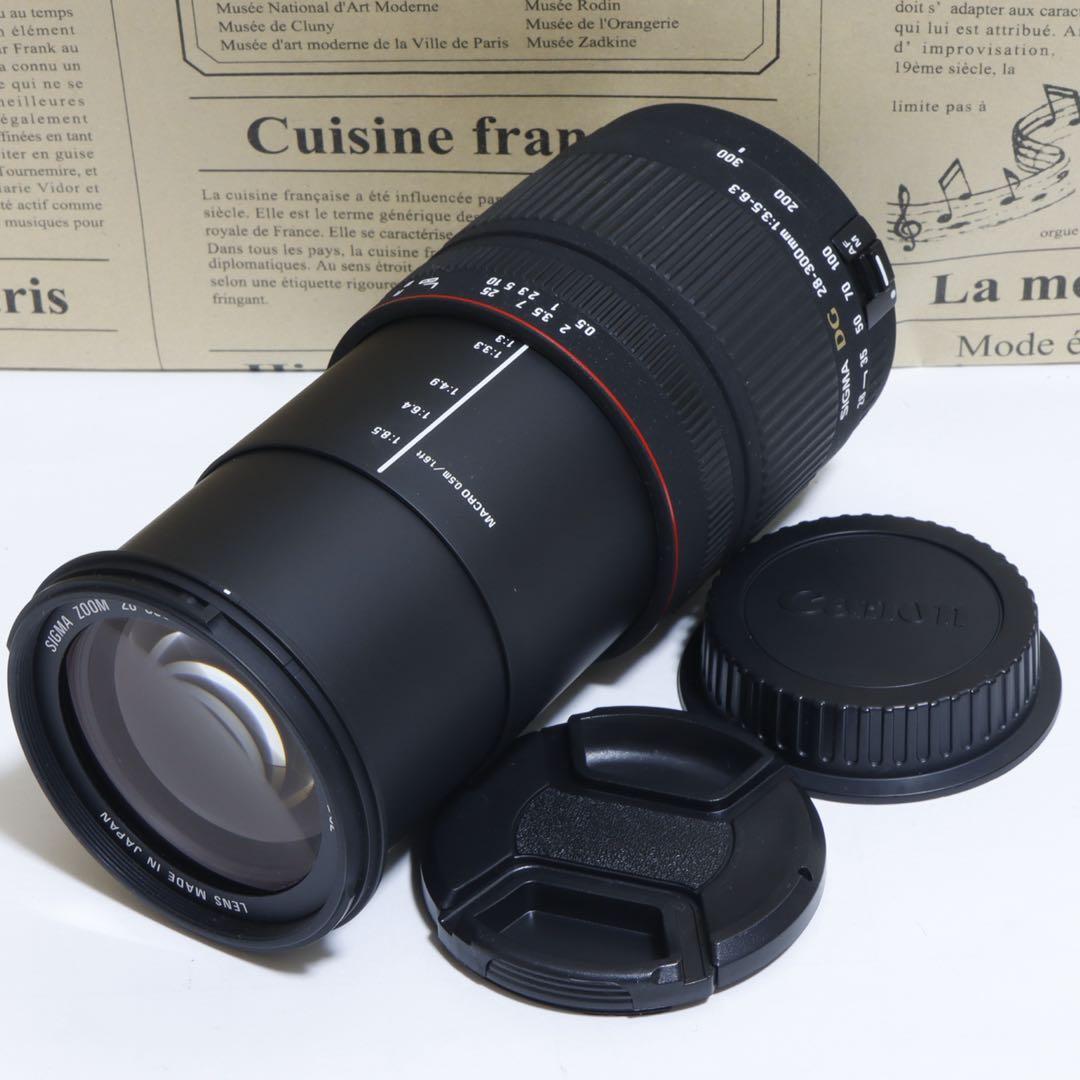 ☆一本で標準+超望遠レンズ☆ Sigma 28-300mm for Canon☆