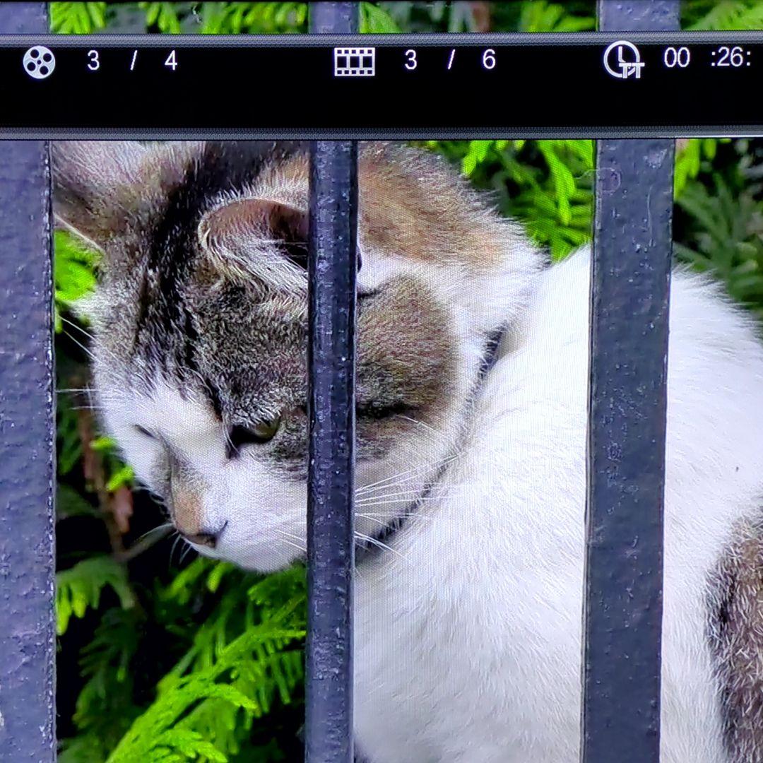 パイオニア ブルーレイ/DVDプレーヤー BDP-3140-K 2019年 美品