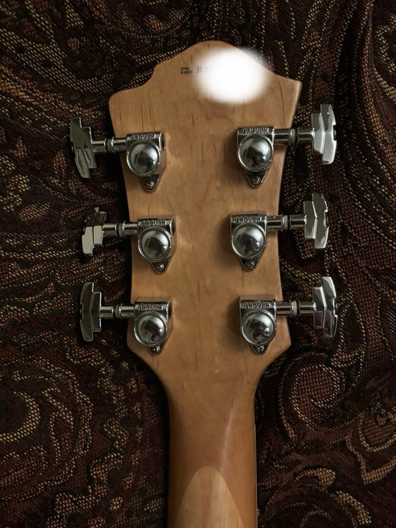 ギター B.C RICH BICH