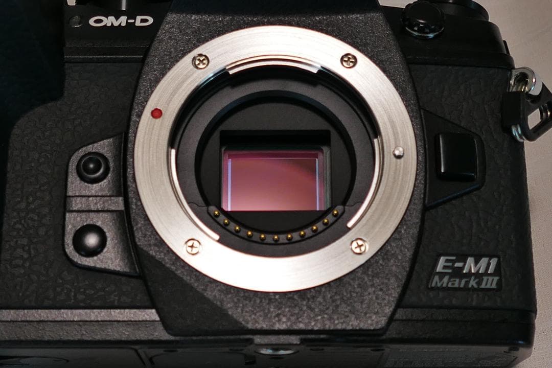 新品同様 OLYMPUS E-M1 MarkⅢ シャッター回数1264！