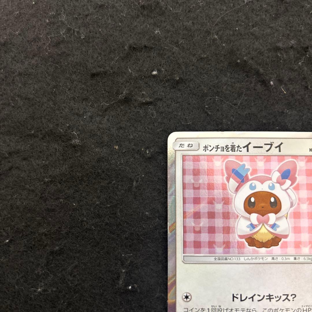 ポンチョを着たイーブイ　144/SM-Pニンフィア