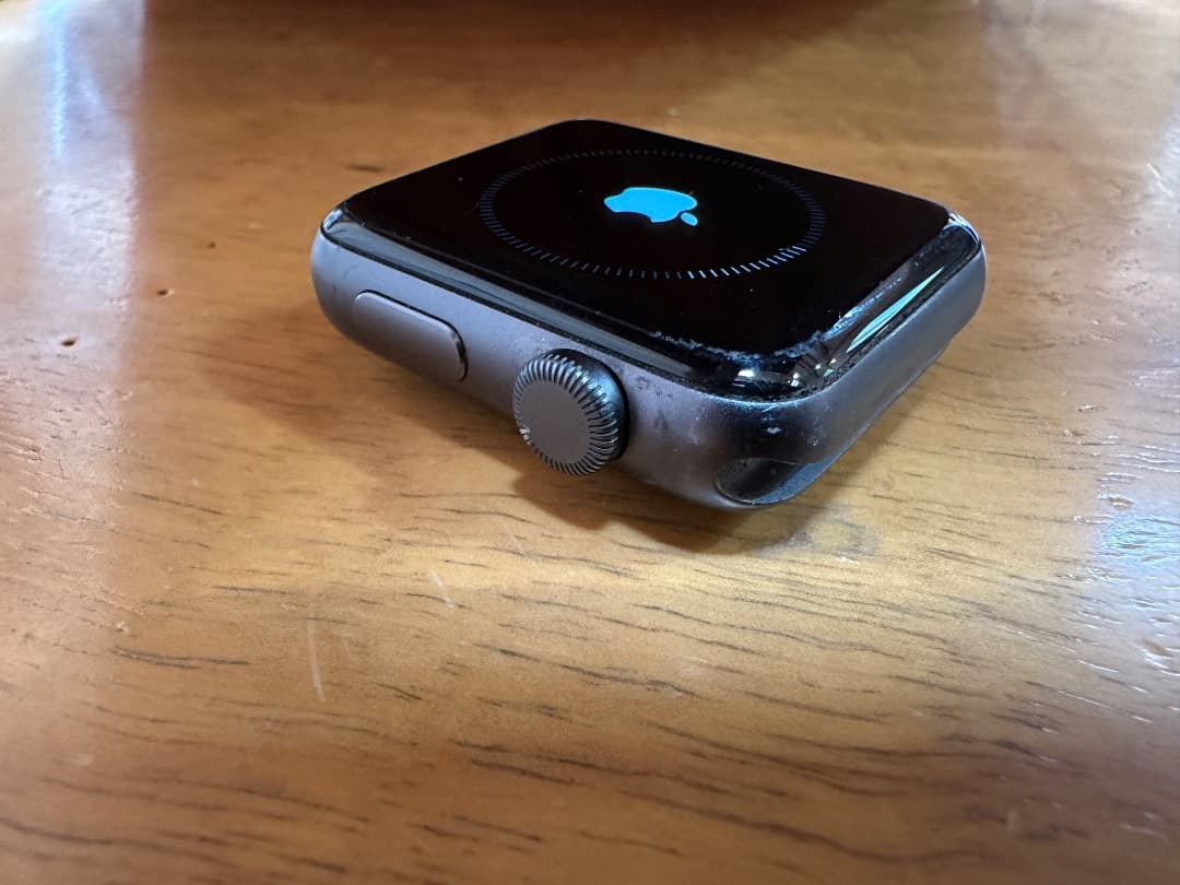 Apple Watch Series 3 GPSモデル 42mm 付属品多数