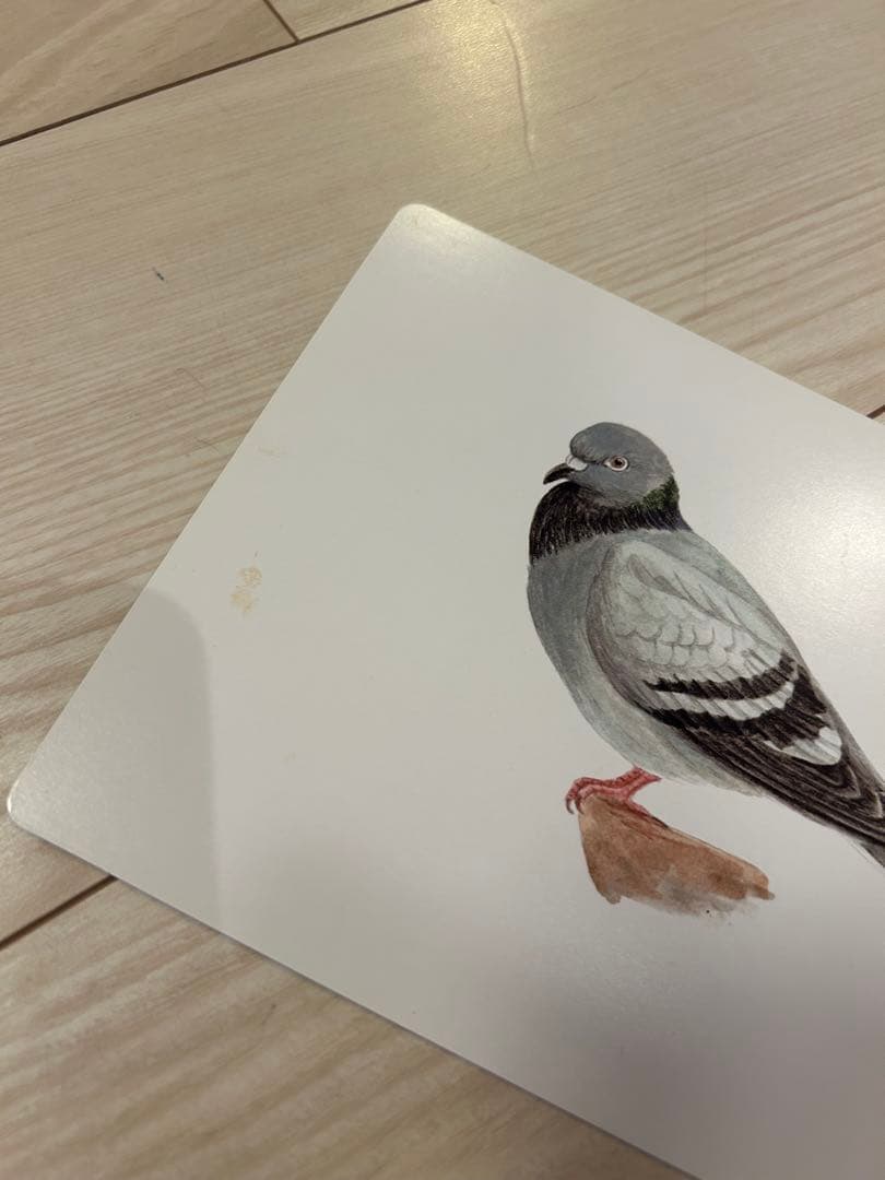 かな絵ちゃん A & B セット