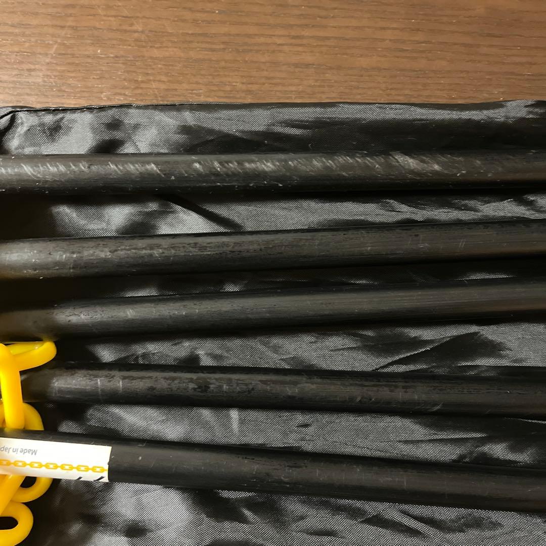 タニラダー　DVD２枚（アドバンスド　インストラクション) ラダー付き