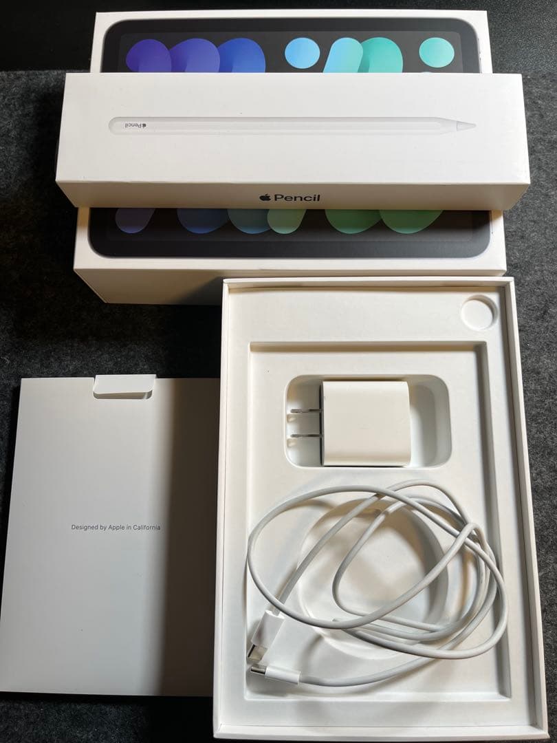 Apple iPad mini 本体 + Apple Pencil（第二世代）