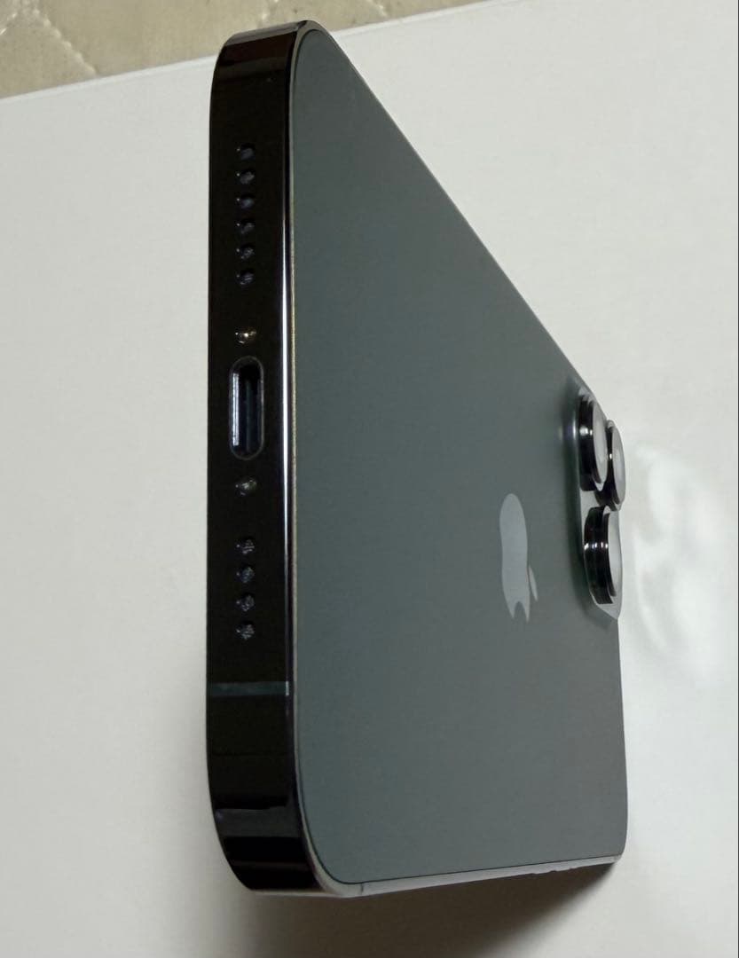 【極美品】iPhone13ProMax SIMフリー最大容量: 100%