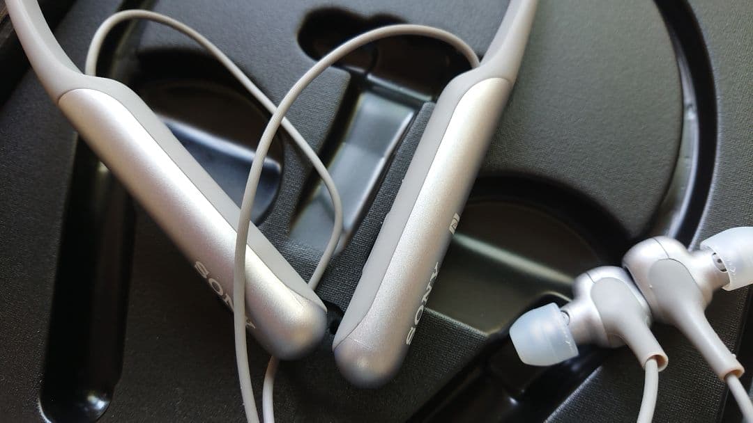 イヤホン Sony Wi-C600N