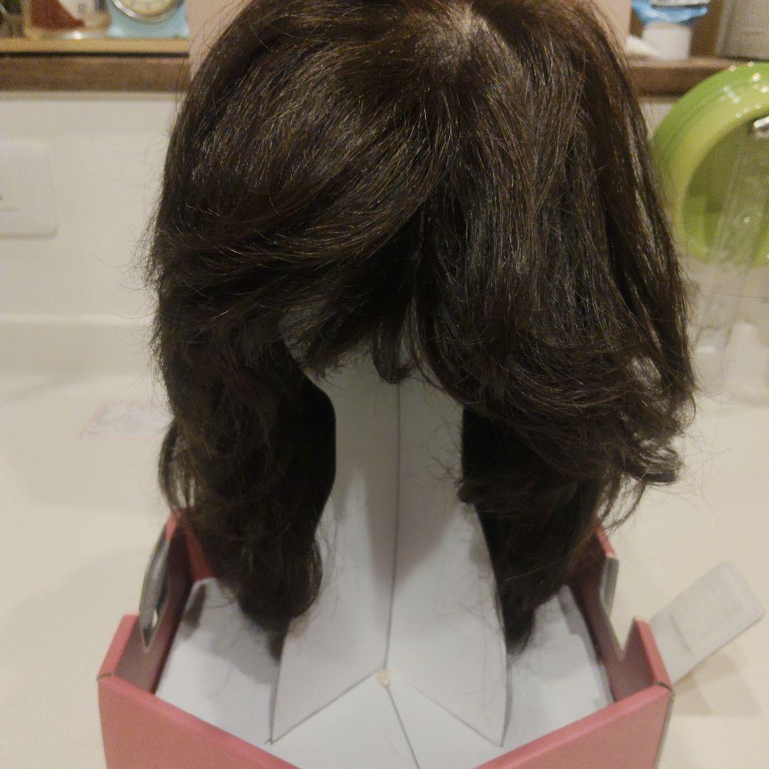 ハイネット　NH-109　 ハイネットウィッグコンディションナー付　箱付