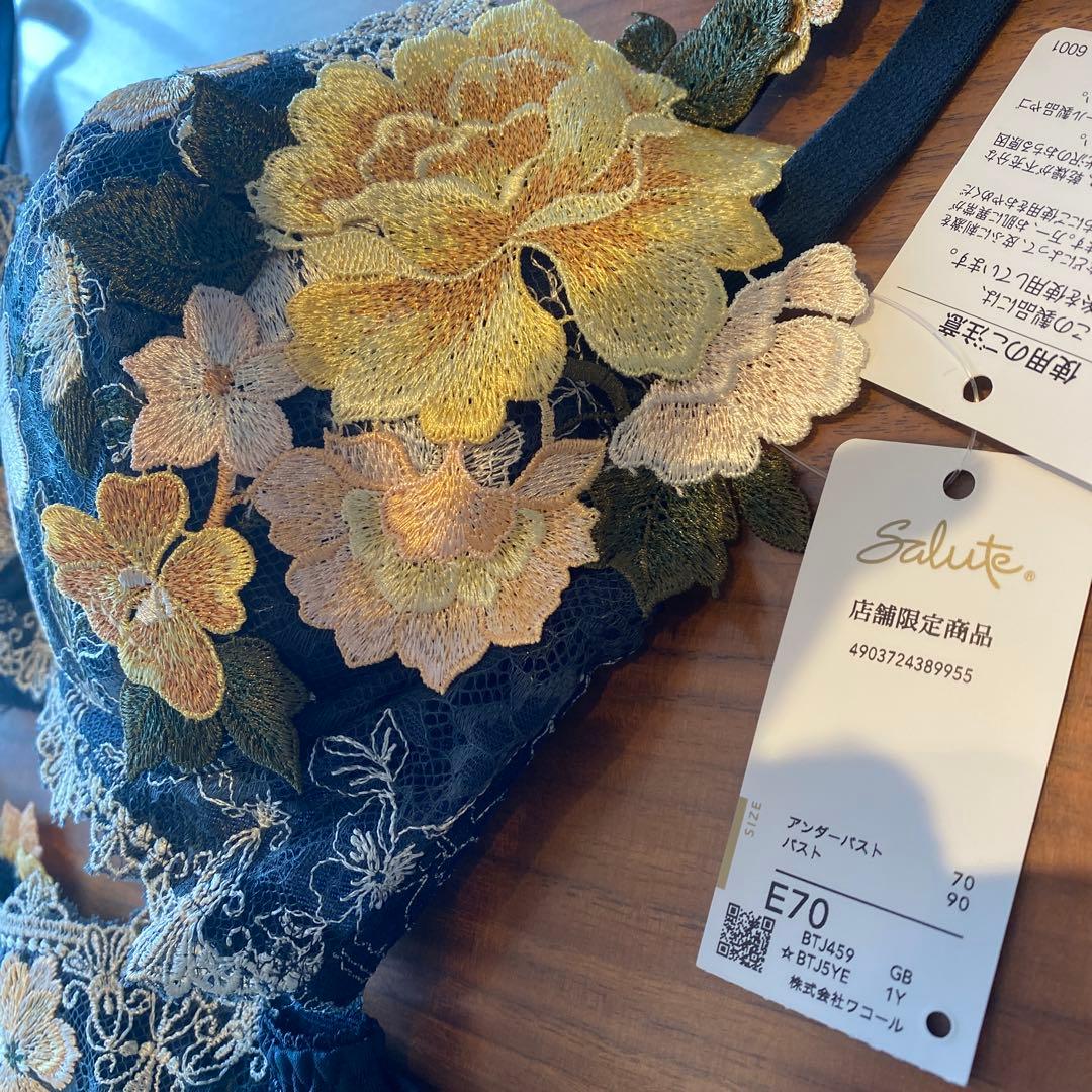 サルート 店舗限定 59G ブラジャー E70 ショーツM フォークロア