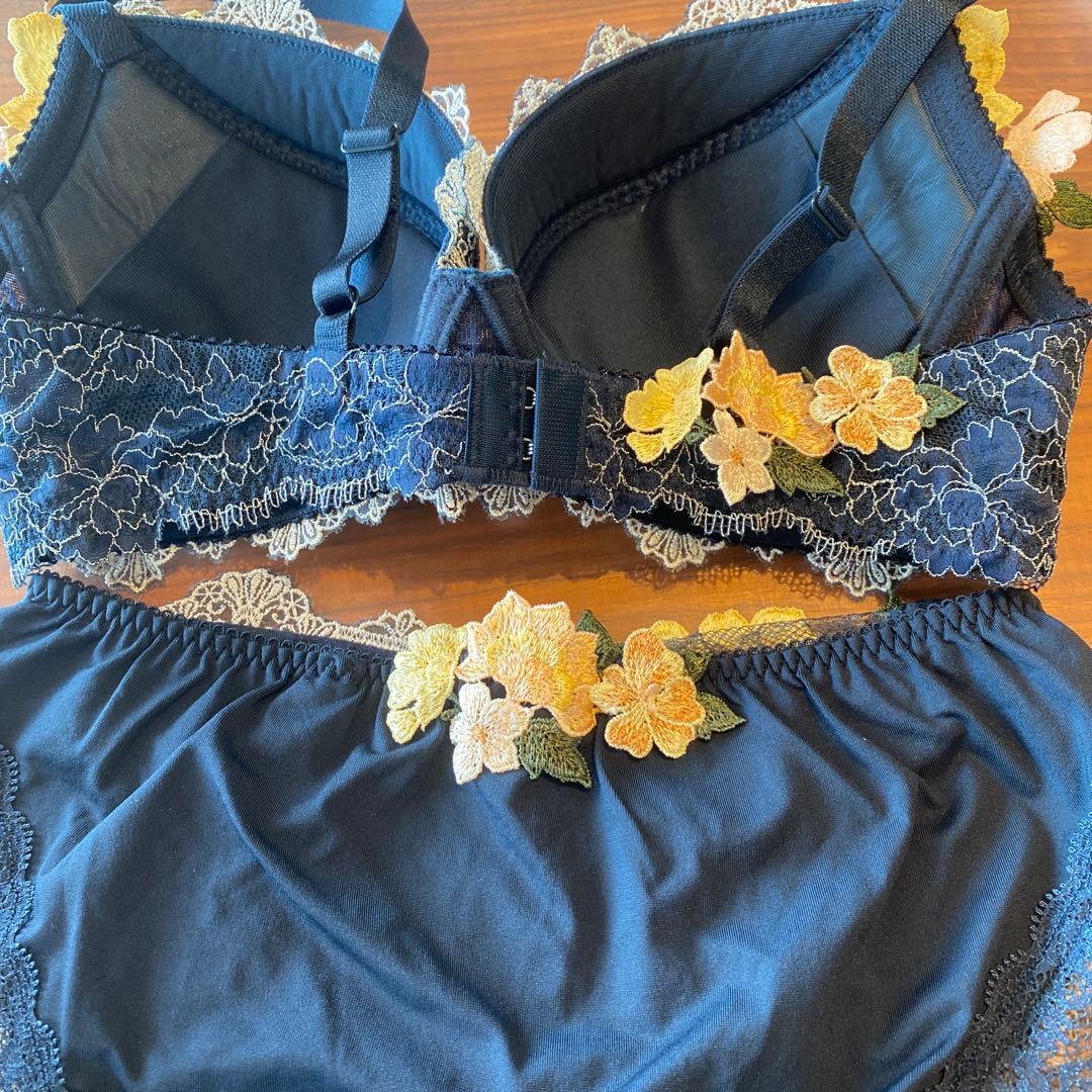 サルート 店舗限定 59G ブラジャー E70 ショーツM フォークロア