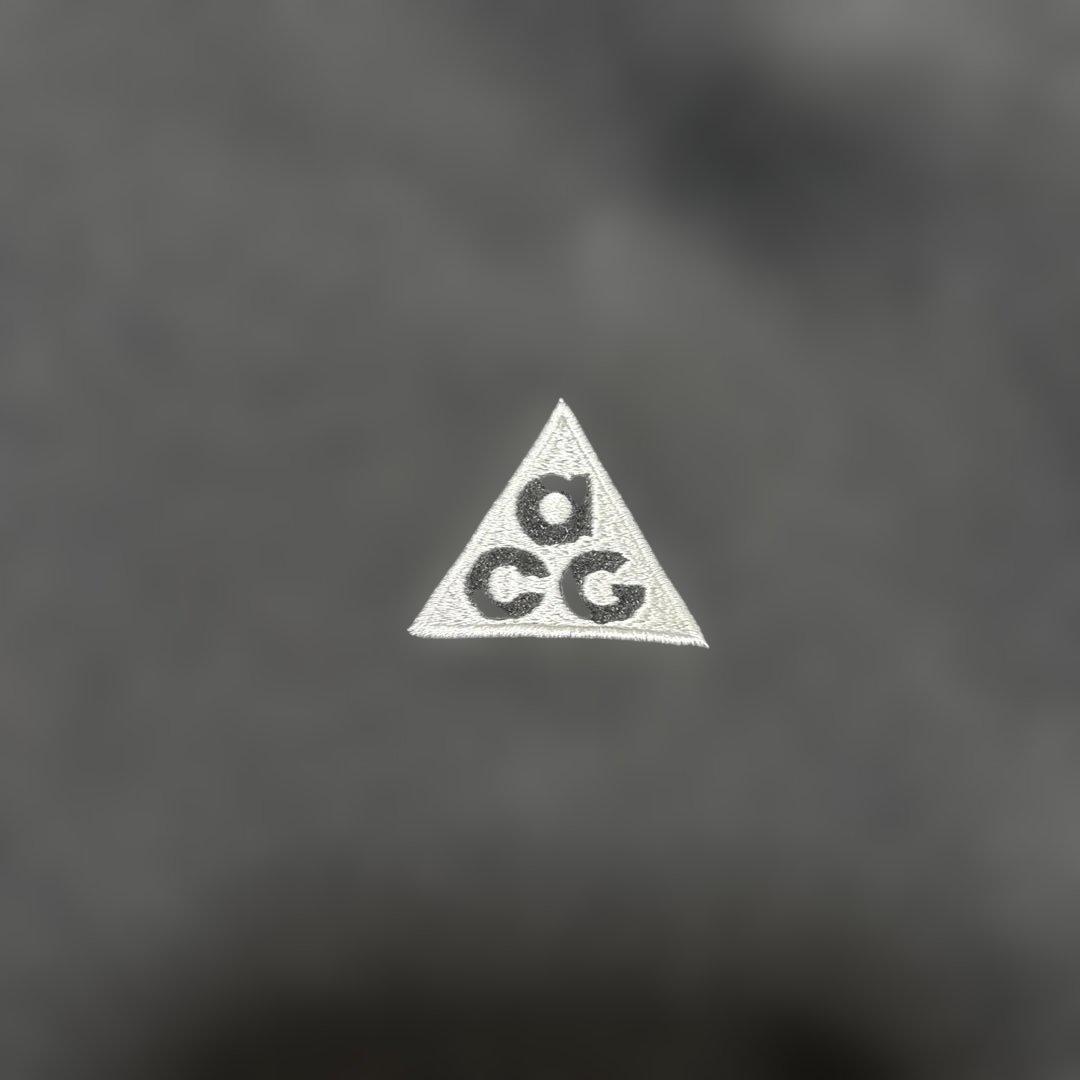 NIKE ACG 旧タグ　トライアングル　2025年モデル　ポーラテック　ベスト
