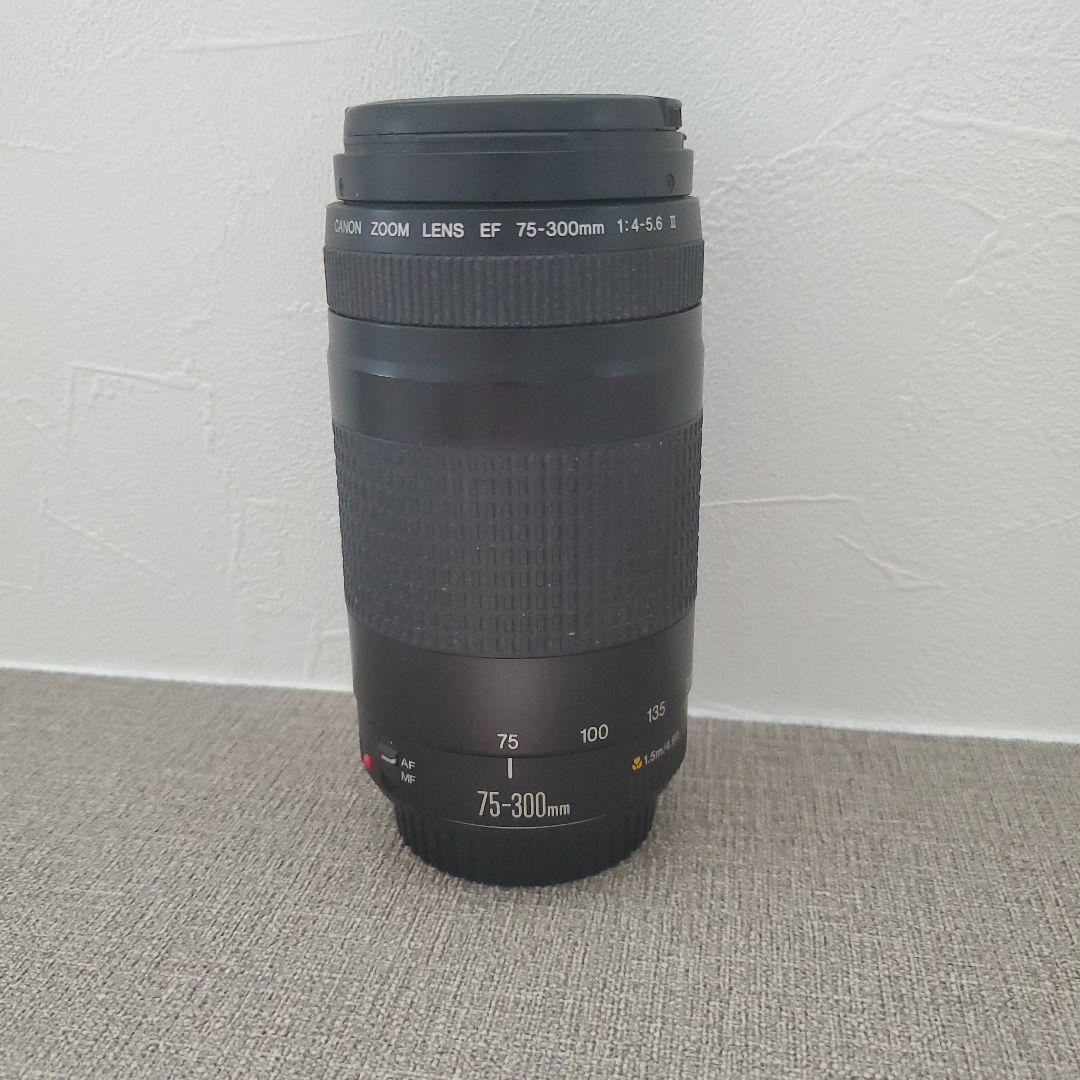 ◇大迫力超望遠!!◇Canon純正 75-300mm II型 超望遠レンズ◇