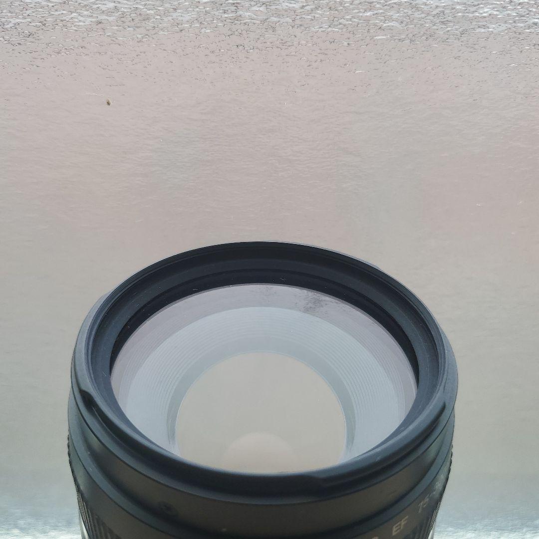 ◇大迫力超望遠!!◇Canon純正 75-300mm II型 超望遠レンズ◇