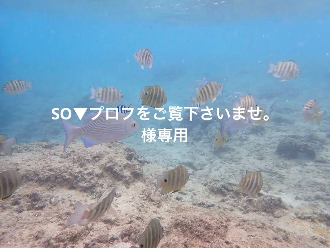 KATOJI ヤマサキ ベビーベット Combi miniベビーふとん　セット