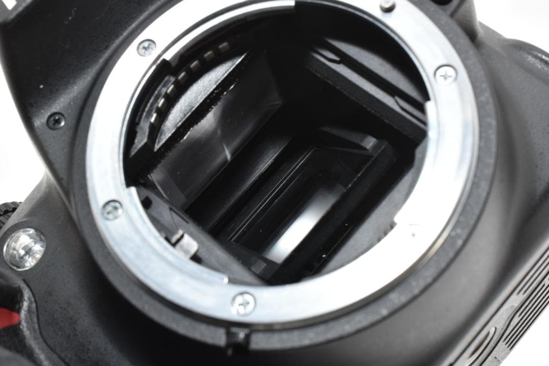 ★美品★Nikon ニコン D3100 ボディ #21374