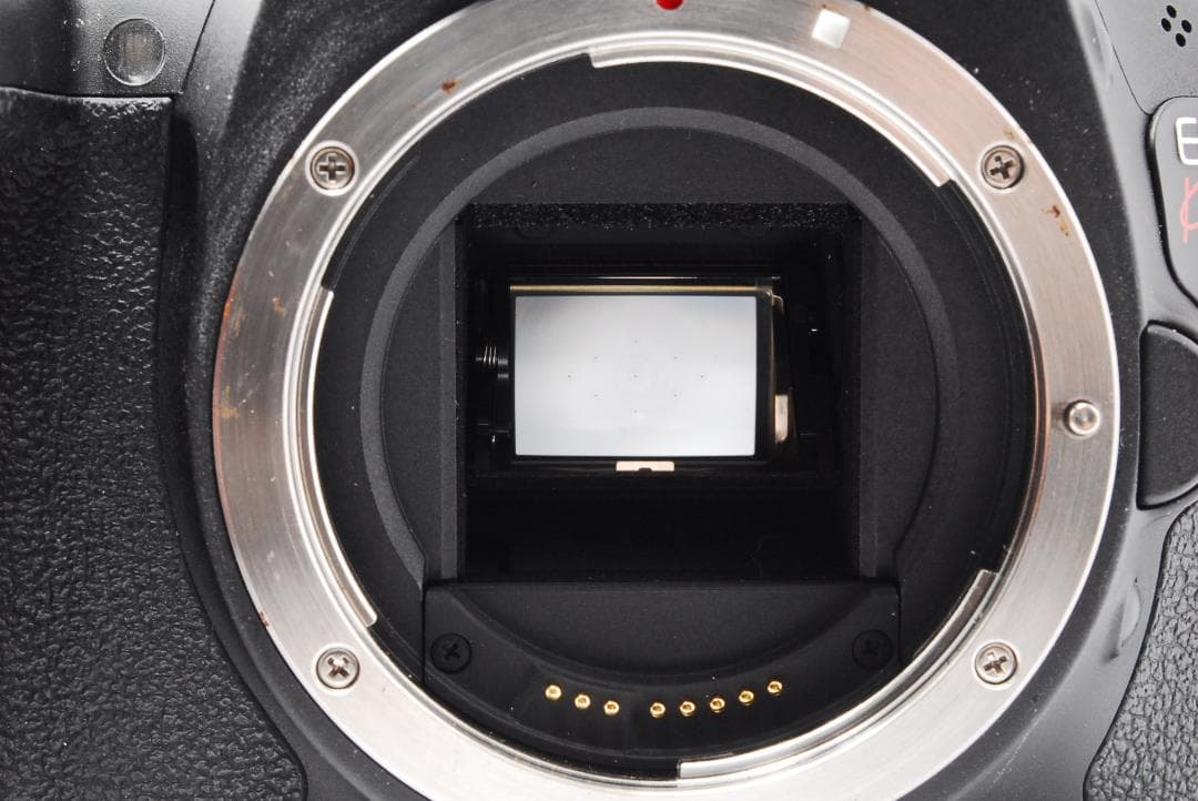 一眼レフデビューに✨Canon EOS Kiss X5✨ダブルレンズセット