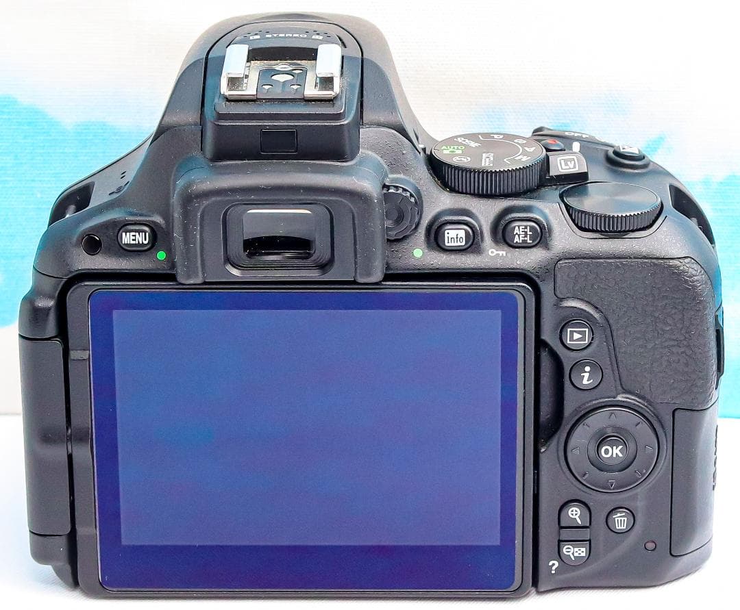 ニコン Nikon D5500 スマホ転送機能付⭐️ 高画質2416万画素⭐️