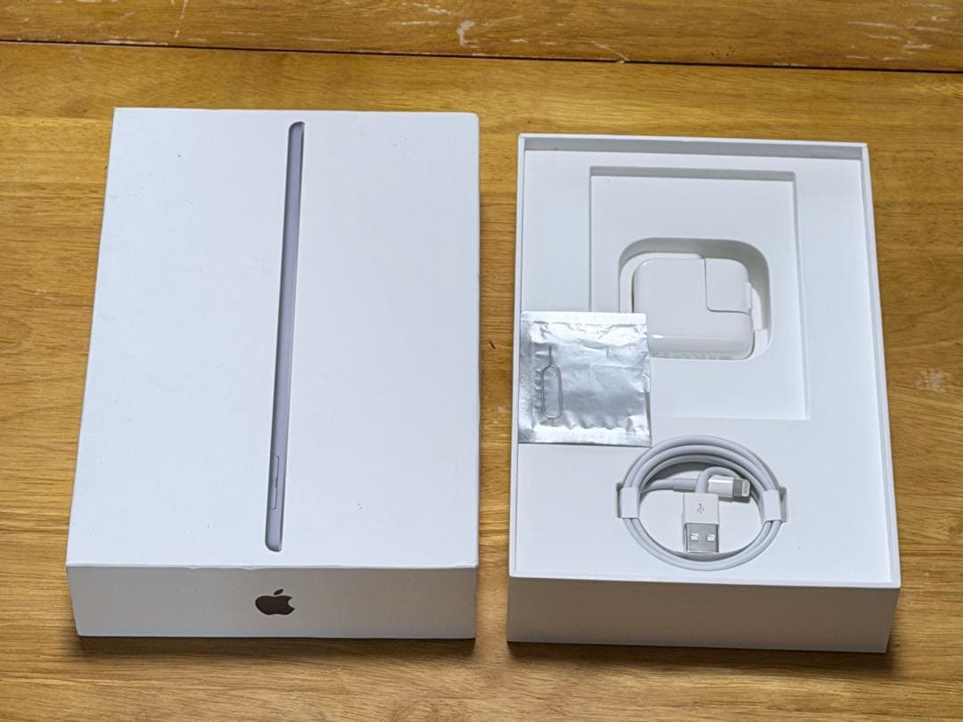 iPad本体 iPad mini5 + Apple pencil(1)