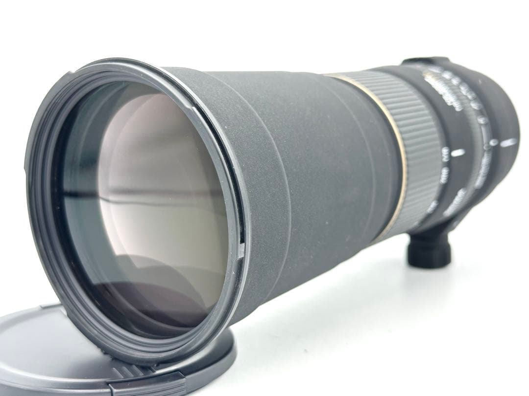 【（渡）プロフ必読様】SIGMA 170-500mm f5-6.3 APO DG
