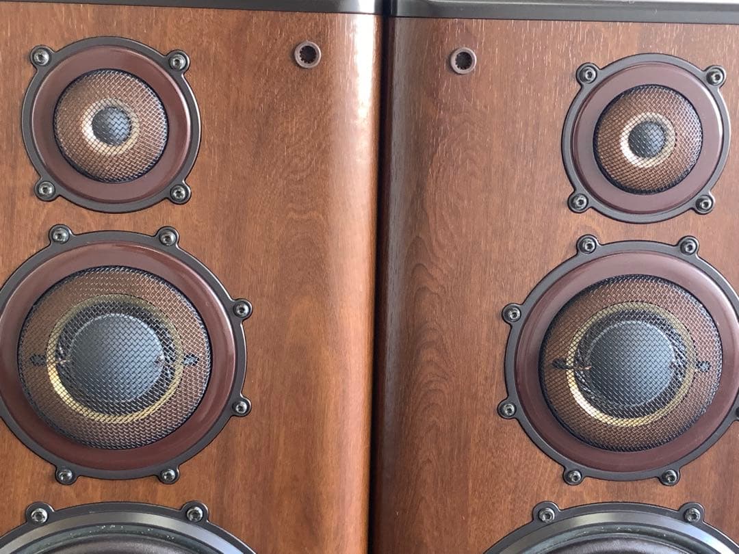 希少 DIATONE ダイヤトーン DS-1000ZX ペア 良品