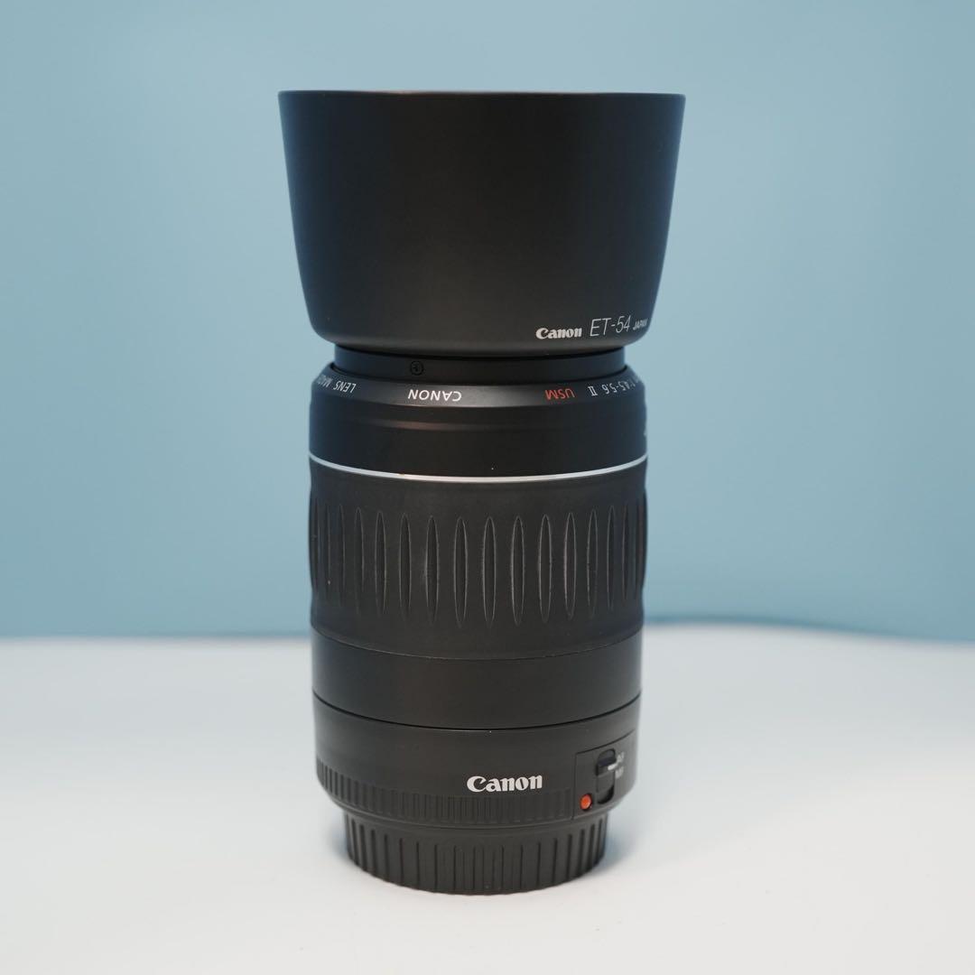 Canon純正 55-200mm 望遠レンズ a4250