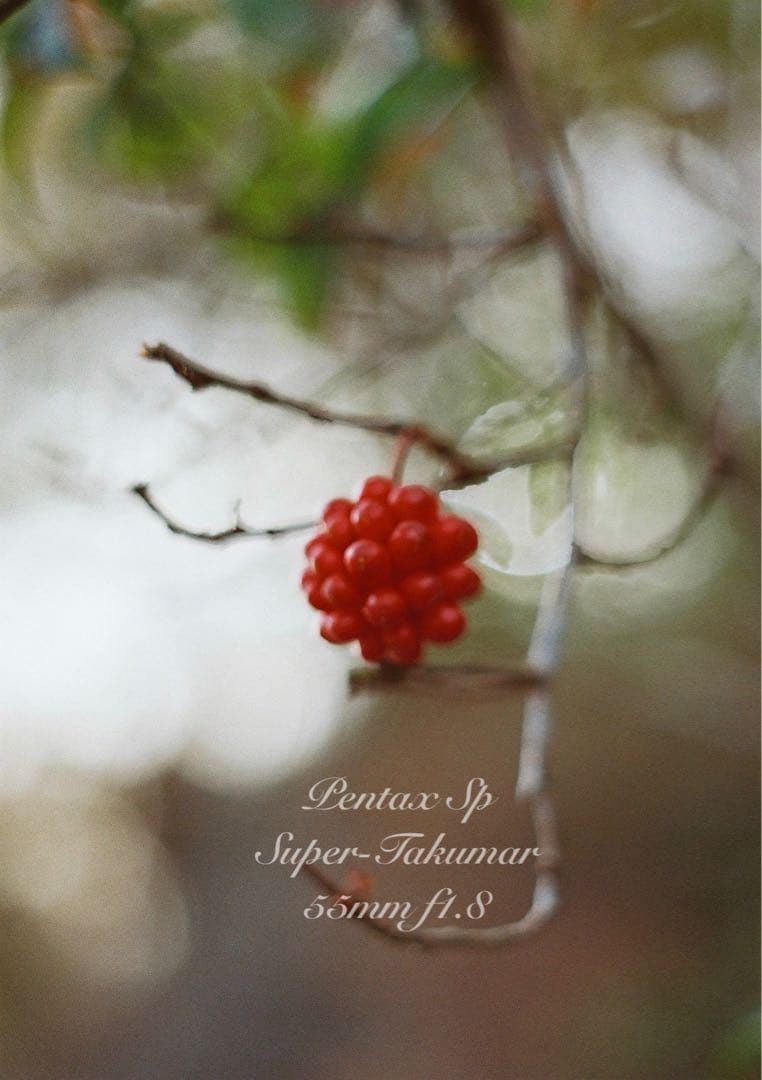 pentax sp フルセット★完動品＊美品＊初期保証付！★作例多数