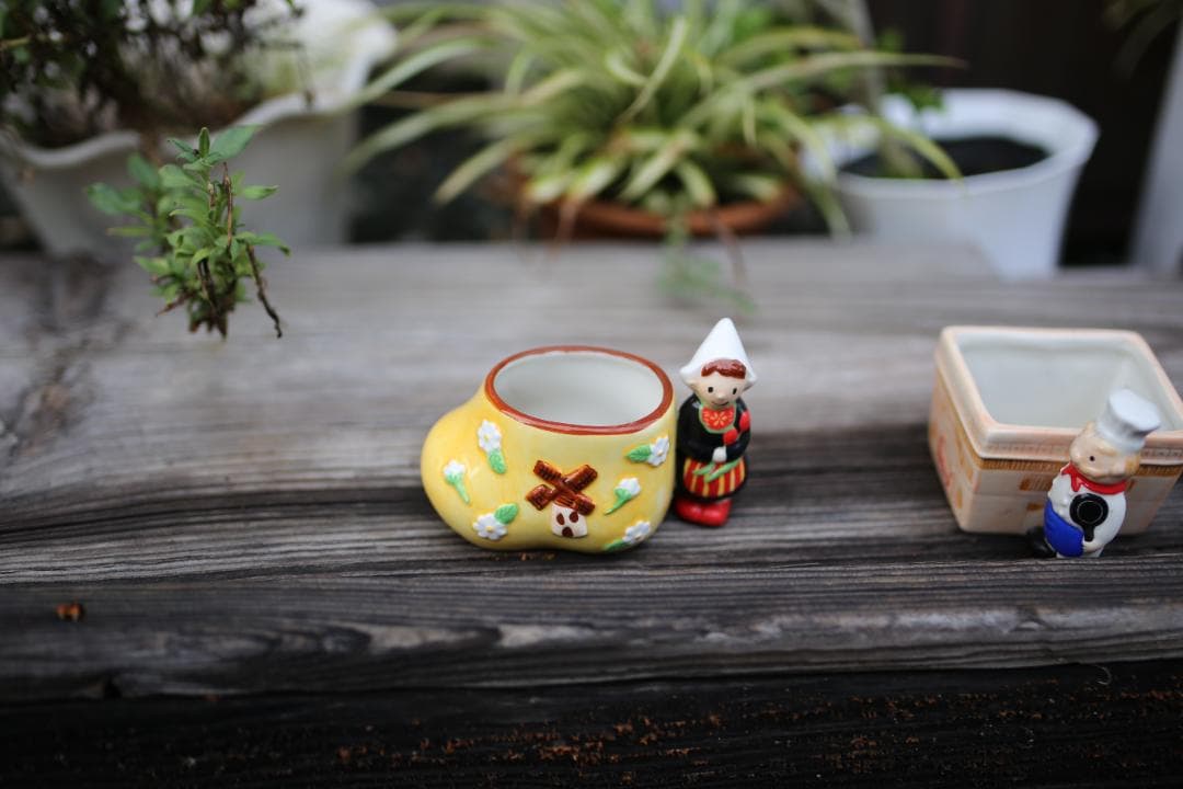 デジタルカメラ Canon EOS 6D + Tamron 35mm F/1.8