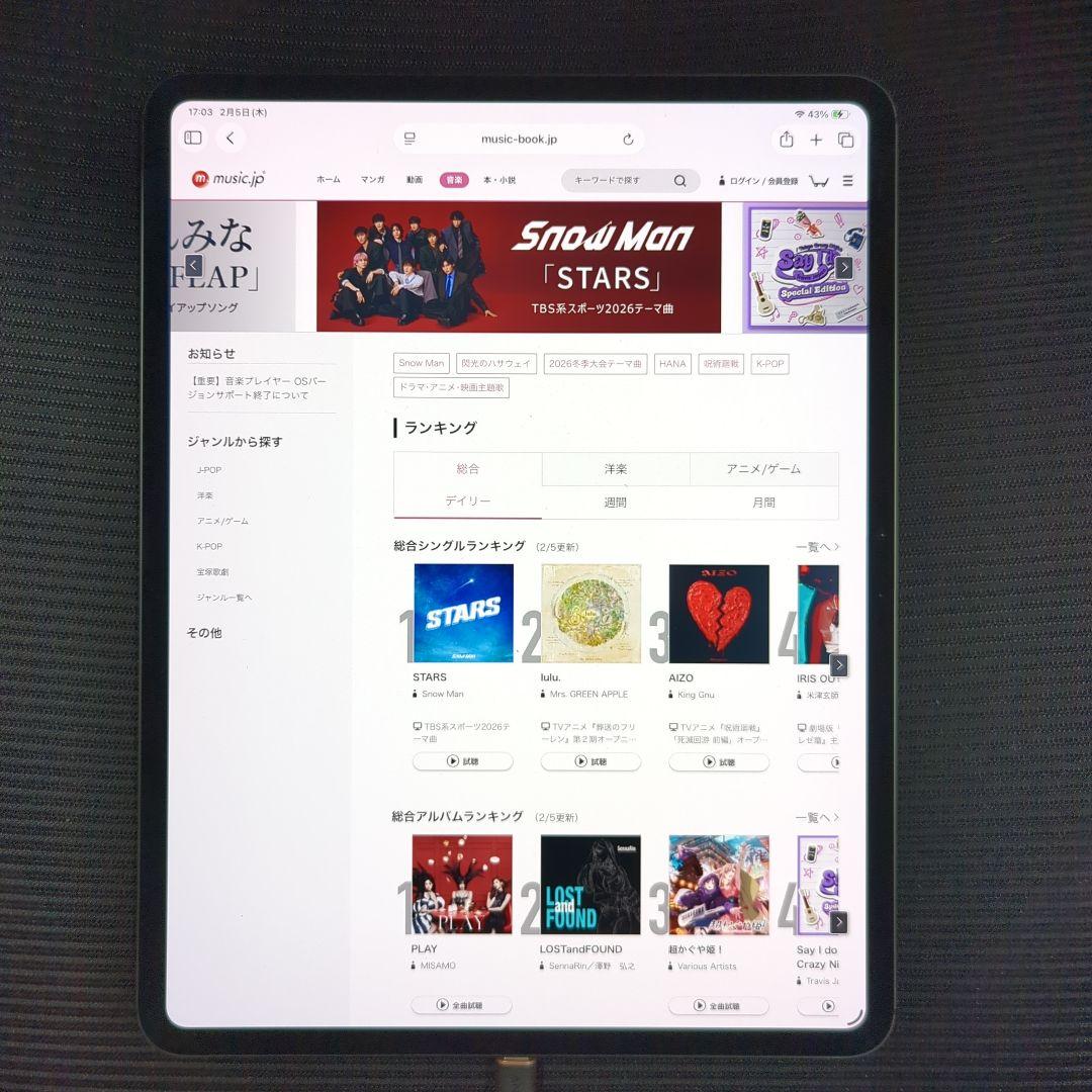 iPad Pro M4 13インチ 2TB　WIFI+セルラー