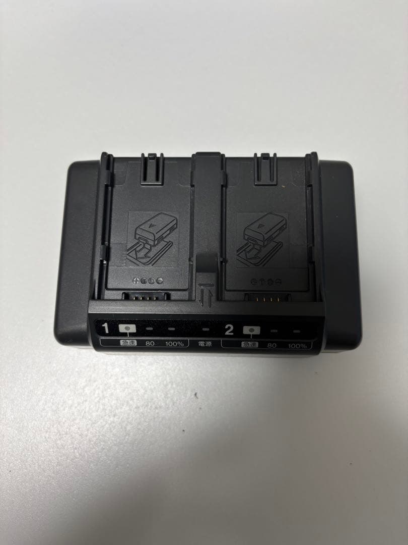 【中古美品】 Panasonic NV-DS200 ビデオカメラ miniDV