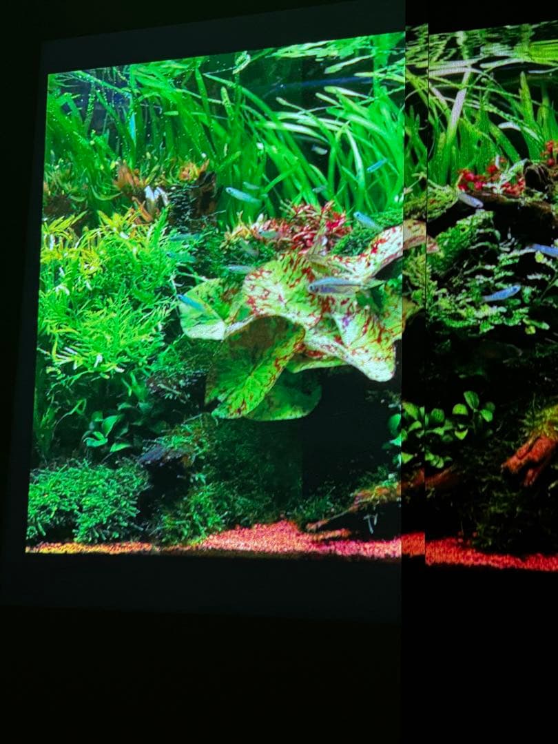 popIn Aladdin ポップインアラジン プロジェクター付シーリングライト