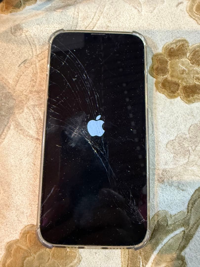 iPhone 13 Pro Max 画面ひび割れ ケース付き