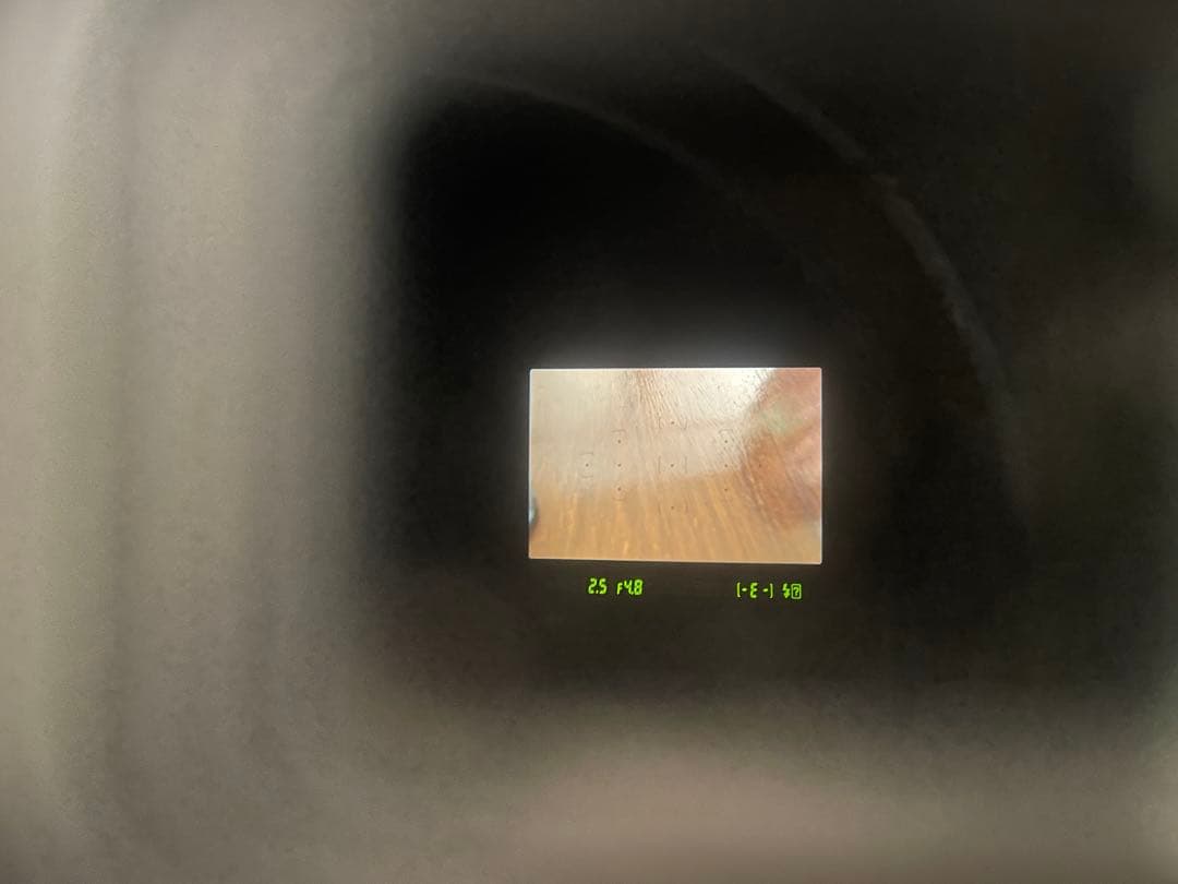 Nikon D3100 デジタル一眼レフ 本体　レンズ二つ付