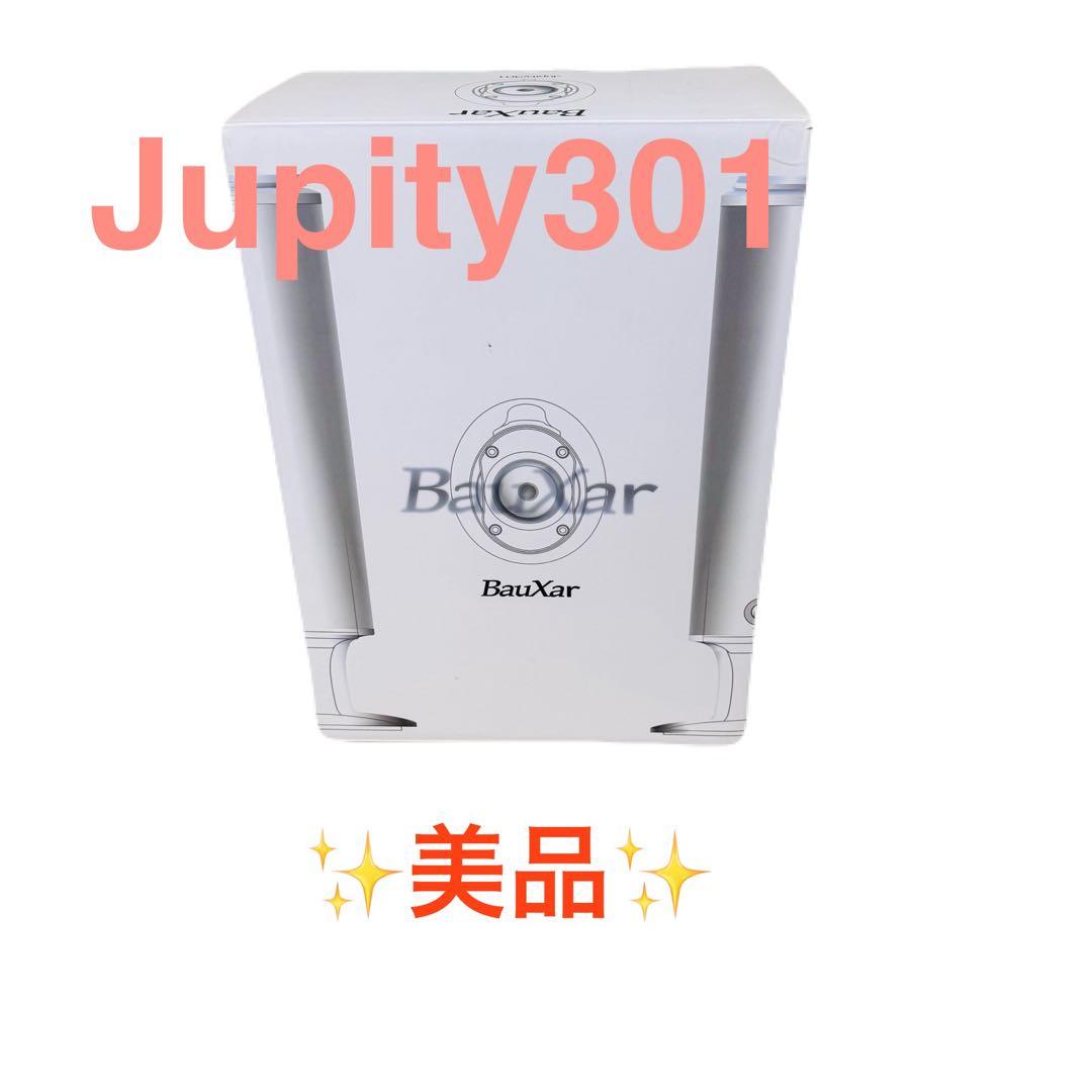 BauXar Jupity301 アンプ内蔵タワー型 タイムドメイン スピーカー