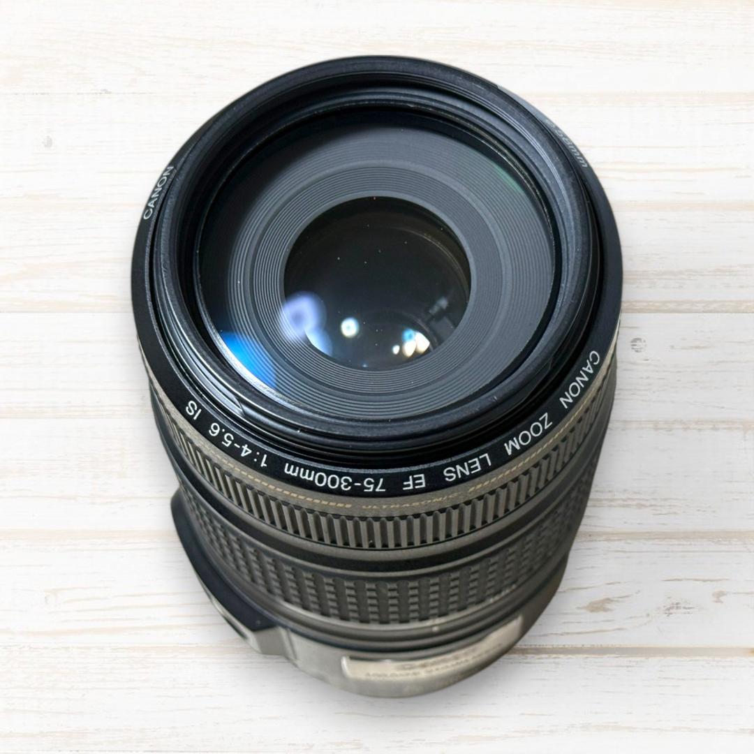 Canon 望遠レンズ EF 75-300mm F4-5.6 IS USM
