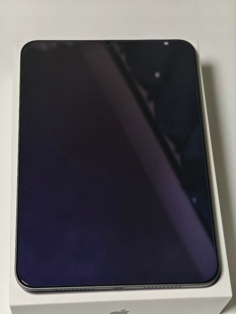 iPad mini (第6世代) 256GB グレー