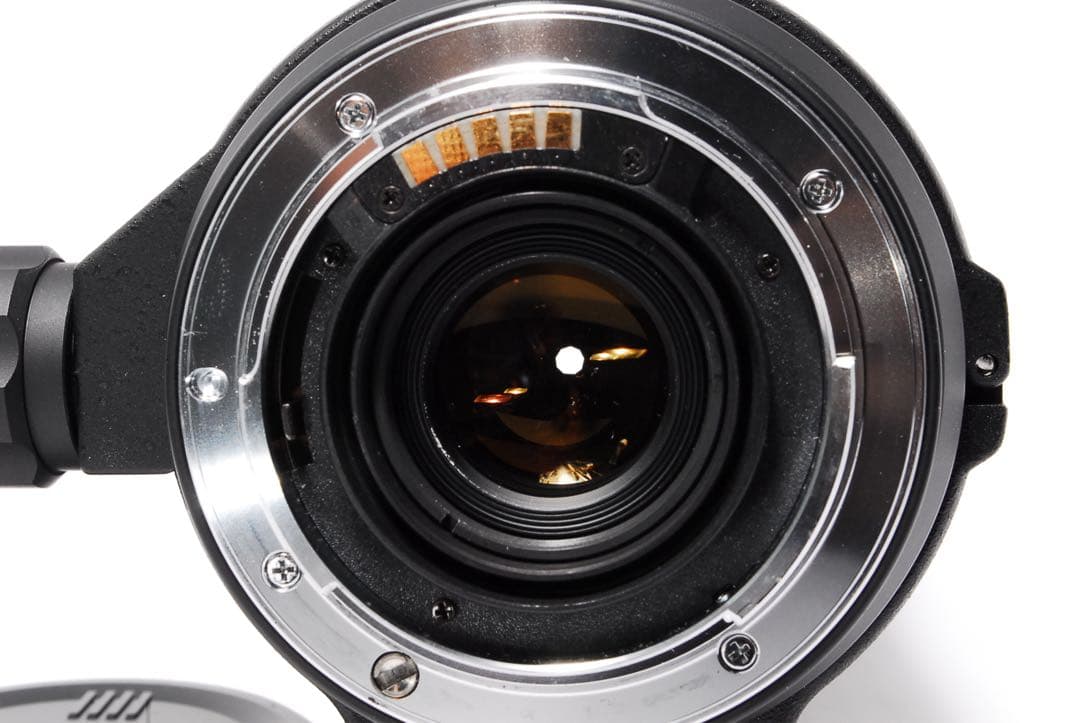 ◆動作確認済み◆SIGMA APO 170-500mm SONY◆超望遠の世界へ