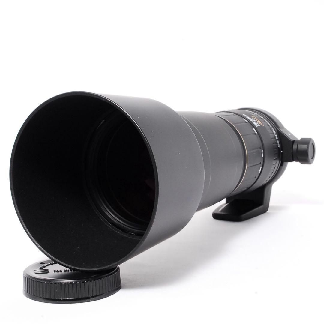 ◆動作確認済み◆SIGMA APO 170-500mm SONY◆超望遠の世界へ