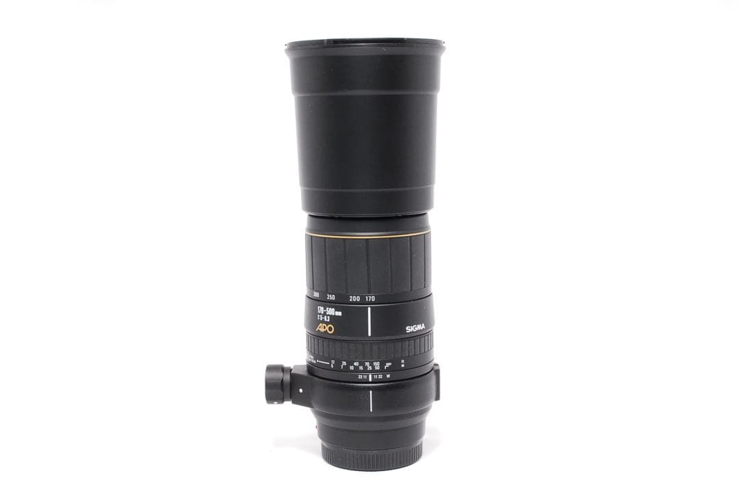 ◆動作確認済み◆SIGMA APO 170-500mm SONY◆超望遠の世界へ