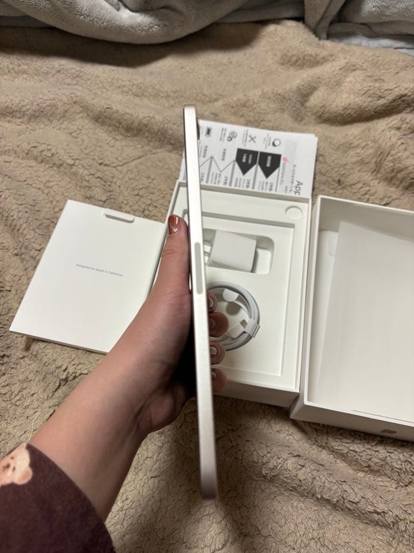 iPad本体 iPad mini A17Pro