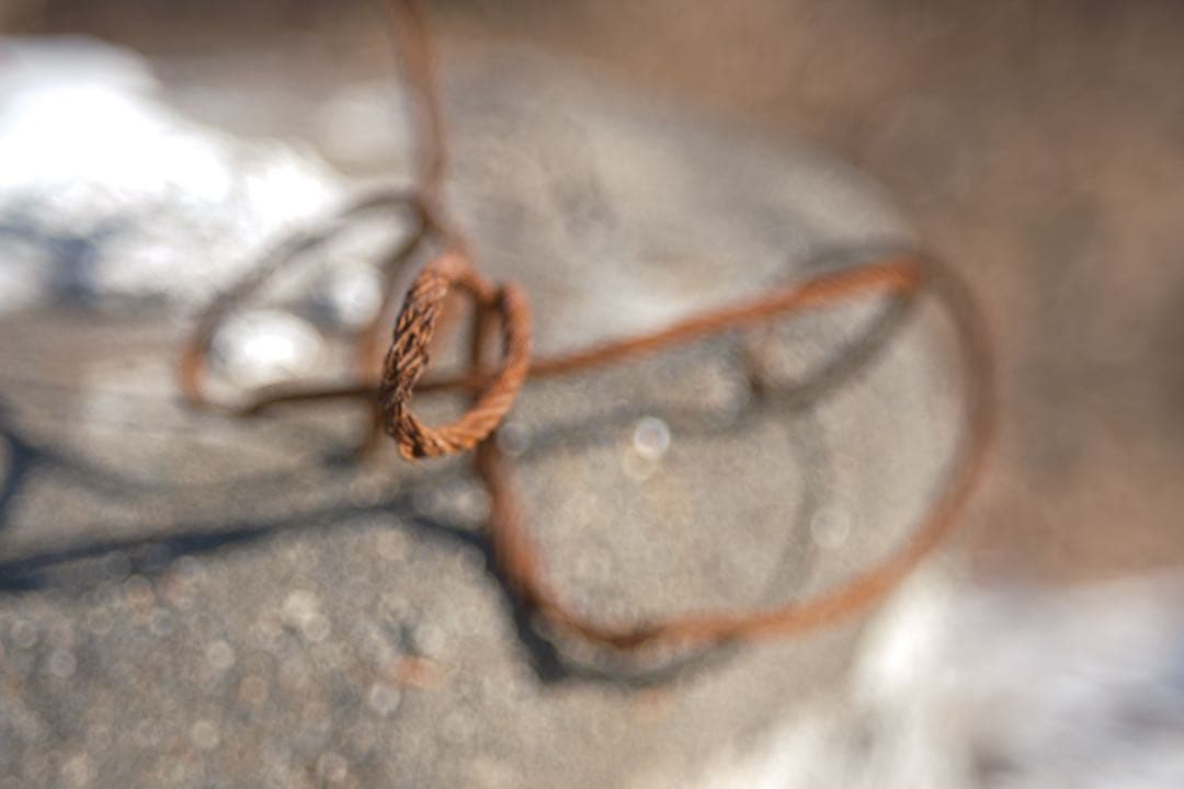 週末SALE★FXアダプター付美品★X-Fujinon55mm f2.2★作例有