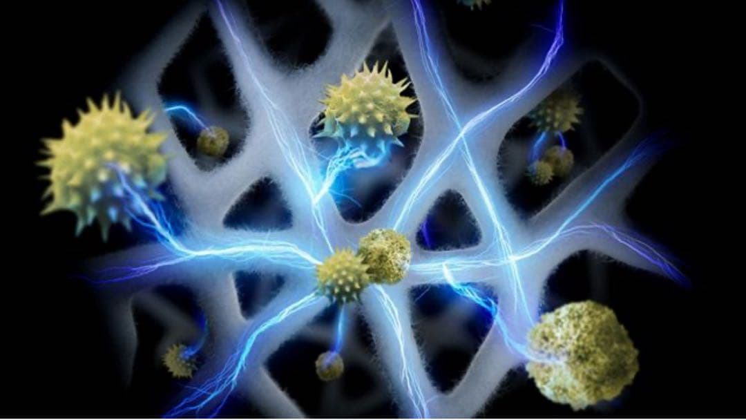 Dyson HushJet™ 空気清浄機 ホワイト/シルバー (SP01 WS)