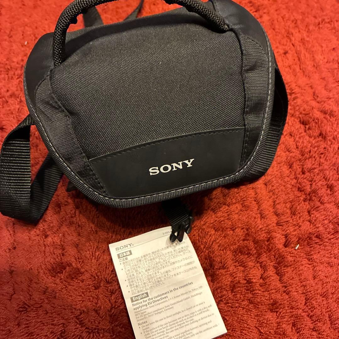 ボ*兵様 SONY Handycam HDR-CX480 セット