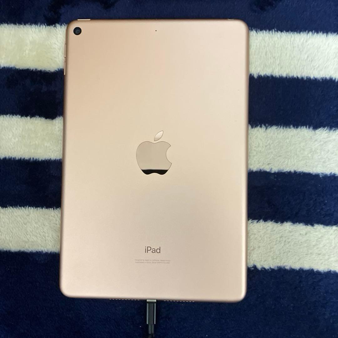 ジャンク iPad mini5 本体 ゴールド WiFi 64GB