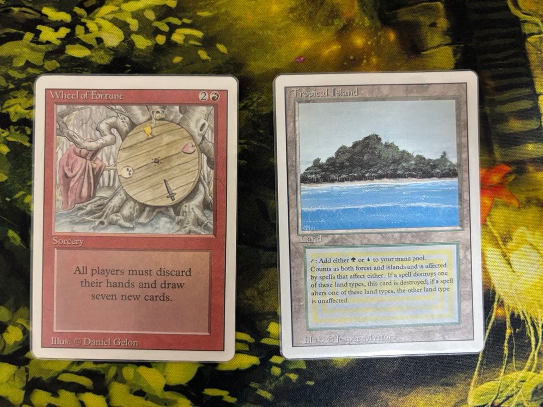 Wheel of Fortune Tropical  ニシ