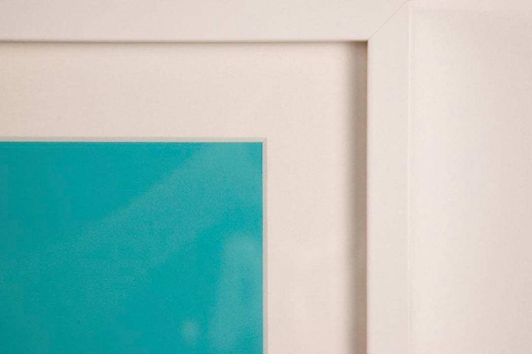 【限定150】ホアンコルネラ 「Humans Are A Virus」 【模写】