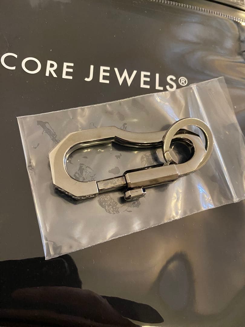 最終値下　カラビナ　コアジュエルス　fragment フラグメント