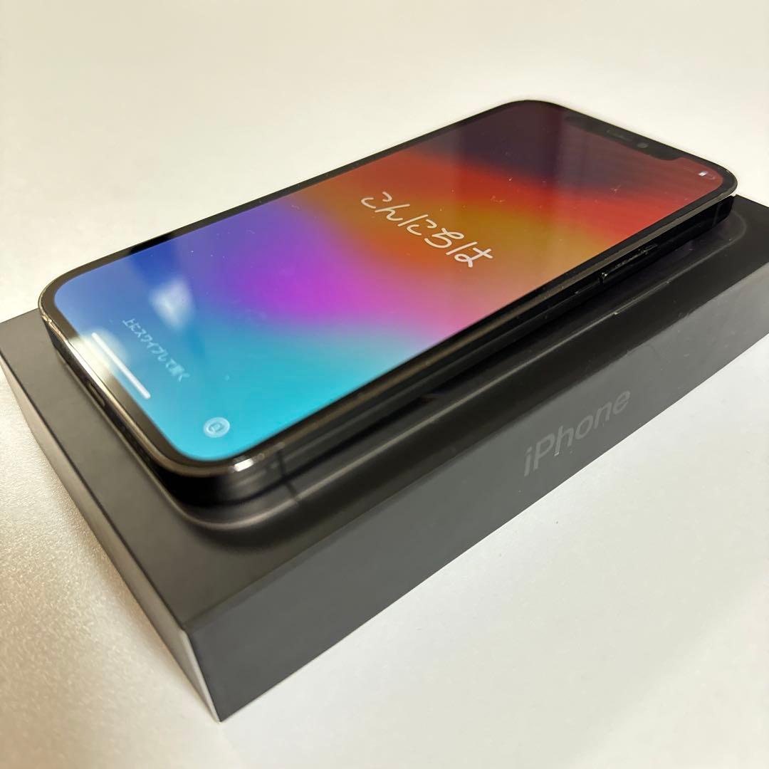 iPhone 12 pro グラファイト 256 GB docomo