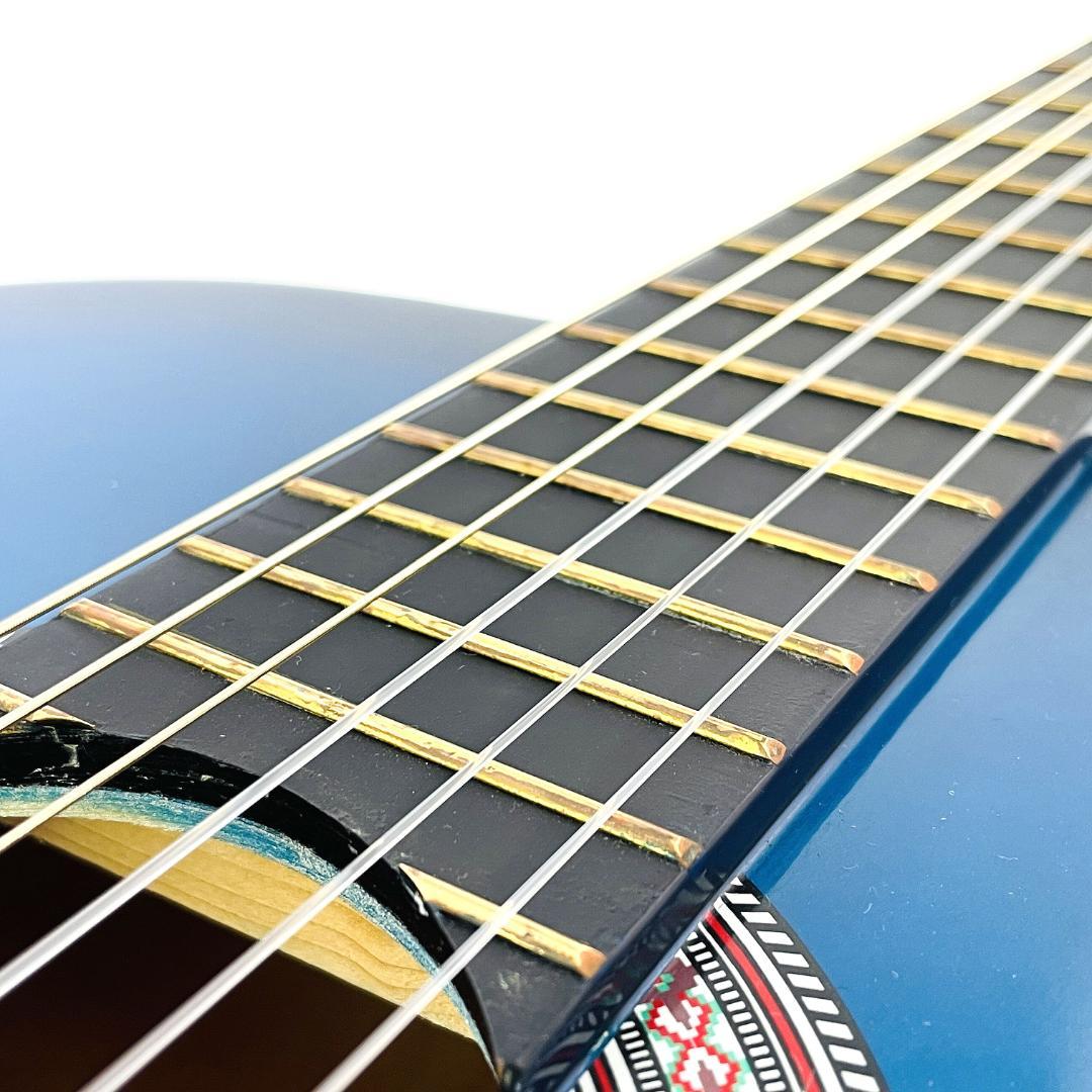 レア Freedom MAG945/BLS アコースティックギター【整備品】