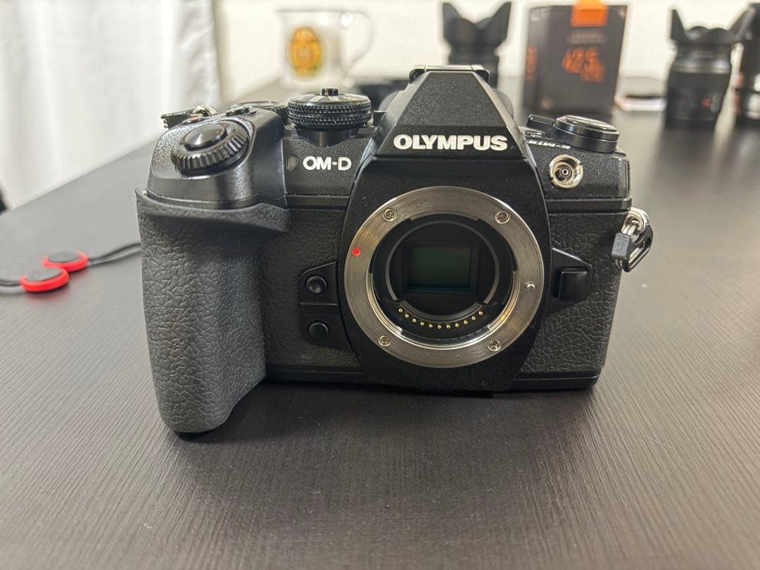 【美品】OLYMPUS E-M1 Mark2 付属品多数 + おまけレンズ付